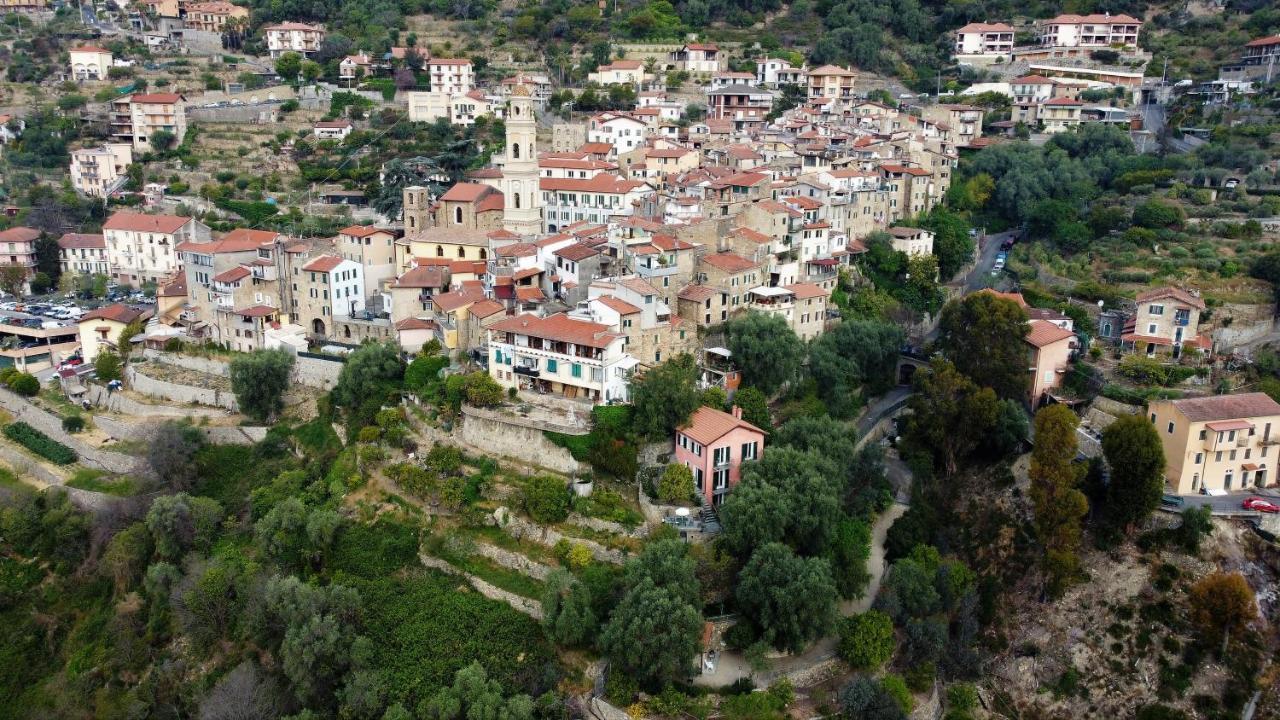 U Ciousu By Ligurian Life Appartamenti In Agriturismo Vallebona Exteriör bild