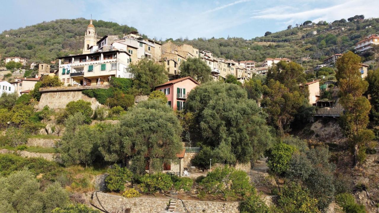 U Ciousu By Ligurian Life Appartamenti In Agriturismo Vallebona Exteriör bild